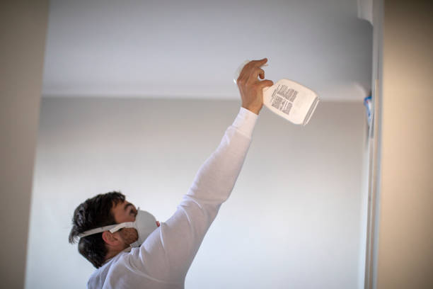 Best Fast Mold Removal  in Blue Mountain, MS