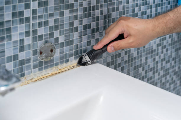 Best Home Mold Removal  in Blue Mountain, MS