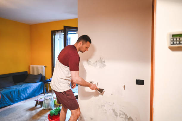 Mold Removal Process in Blue Mountain, MS